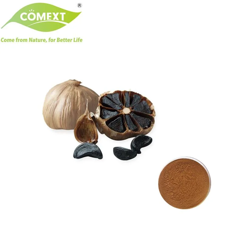 Comext Factory 100% Natural Liver Protection Antioxidant Allicin Black Garlic Extract Powder